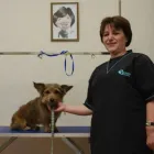 Business 1 image HEADS AND TAILS DOG GROOMING Pets & Animals in Urmston Gr