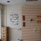 Business 3 image HEADS AND TAILS DOG GROOMING Pets & Animals in Urmston Gr