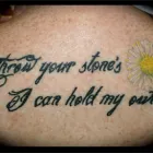 Business 1 image HEADS 'N' TAILS Dog & Cat Grooming in Coventry We