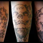 Business 2 image HEADS 'N' TAILS Dog & Cat Grooming in Coventry We