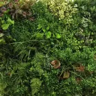 Business 3 image HEDGED IN LTD Shopping Centres in Stockport Gr