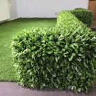 Business 4 image HEDGED IN LTD Shopping Centres in Stockport Gr