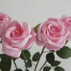 Business 5 image HEDGED IN LTD Shopping Centres in Stockport Gr