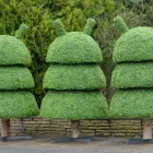 Business 6 image HEDGED IN LTD Shopping Centres in Stockport Gr