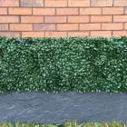 Business 16 image HEDGED IN LTD Shopping Centres in Stockport Gr