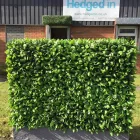 Business 20 image HEDGED IN LTD Shopping Centres in Stockport Gr