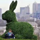 Business 22 image HEDGED IN LTD Shopping Centres in Stockport Gr