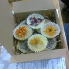 Business 7 image HERBAL HARMONY - CATHERINE MARSHALL MNIMH Herbalists in Poole Do