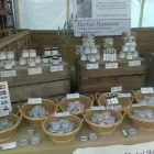 Business 8 image HERBAL HARMONY - CATHERINE MARSHALL MNIMH Herbalists in Poole Do