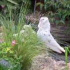 Business 1 image HERDMANFLAT & ROODLANDS HOSPITALS Hospitals in Haddington Ea