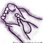 Business 4 image HILARY LEACH NATURAL THERAPIES Therapists in Birmingham We