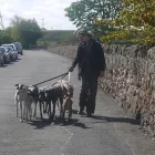 Business 9 image HOB SALONS Hairdressers in Pinner Mi