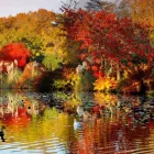 Business 6 image HOLIDAY INN LONDON GATWICK - WORTH, AN IHG HOTEL Wedding Venues in Crawley We