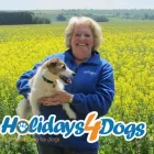 Business 4 image HOLIDAYS4DOGS Pet Services in Stockport Gr