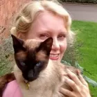 Business 1 image HOME LOVING CATS Pets & Animals in Richmond Gr