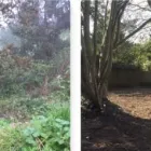 Business 1 image HOUSE CLEARANCE - CLEAR THE LOT Waste Management in Sutton Su