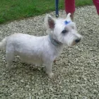 Business 3 image HYDRAULIC SPARES CENTRE LTD Hydraulic Engineers in Bolton La