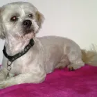 Business 1 image HYDRAULIC SPARES CENTRE LTD Hydraulic Engineers in Bolton La