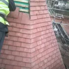 Business 21 image HYDROVATE Hydroponics in Telford Sh