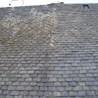 Business 16 image HYDROVATE Hydroponics in Telford Sh