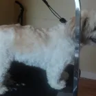 Business 3 image ICELAND FOODS LTD Supermarkets in Harrow Mi