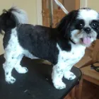 Business 14 image ICELAND FOODS LTD Supermarkets in Harrow Mi