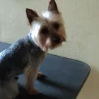 Business 4 image ICELAND FOODS LTD Supermarkets in Harrow Mi