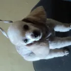 Business 5 image ICELAND FOODS LTD Supermarkets in Harrow Mi