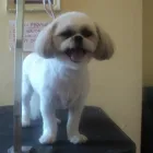 Business 6 image ICELAND FOODS LTD Supermarkets in Harrow Mi