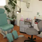 Business 3 image IN THE DOG HOUSE Dog & Cat Grooming in Coventry We