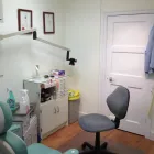 Business 1 image IN THE DOG HOUSE Dog & Cat Grooming in Coventry We