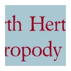 Business 2 image IN THE DOG HOUSE Dog & Cat Grooming in Coventry We