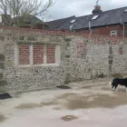 Business 3 image IRISH CLOTHING CO.LTD Men's Clothes Shops in Leicester Le