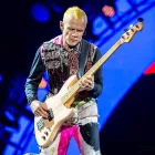 Business 4 image ISO PHOTOGRAPHIC STUDIO - HEADSHOTS // EVENTS // PRESS Wedding Services in Leeds We