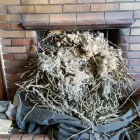 Business 7 image J RICHARDS CHIMNEY SWEEP Home Improvement in Caernarfon Gw