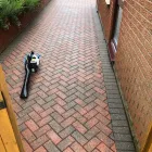 Business 38 image JACKOZE DRIVEWAY & EXTERIOR CLEANING Sandblasting Services in Hull Ery
