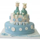 Business 11 image JAN'S THEMED CAKES Snacks & Confectionery in Bristol Br
