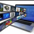 Business 4 image JUNGLE.MARKETING Marketing Agencies in SALE Ch