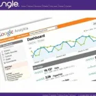 Business 5 image JUNGLE.MARKETING Marketing Agencies in SALE Ch