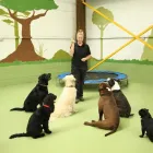 Business 88 image K-9 CABIN Pets & Animals in Manchester Gr