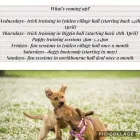 Business 36 image K9 CONNECTIONS Pets & Animals in Dover Ke