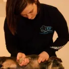 Business 2 image K9 REHABILITATION Reflexologists in Bicester Ox