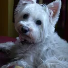 Business 1 image KELVINSIDE ACADEMY Independent Schools & Colleges in Glasgow La