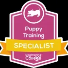 Business 2 image KIRSTY'S PAWS Pets & Animals in Bournemouth Do