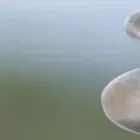 Business 2 image KREM BEAUTY CLINIC Beauty Salons & Consultants in Leicester Le