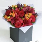 Business 13 image L & B BAIRD LTD Florists in Glasgow La