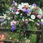 Business 1 image LAVENDER AND BLACKBERRY Wedding Services in Dover Ke