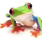 Business 2 image LEAPFROG INTERNET MARKETING Web Developers in Fleet Ha
