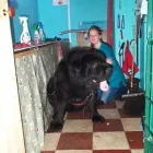 Business 7 image LEICESTER QUAKER HOUSING ASSOCIATION Housing Associations & Trusts in Leicester Le