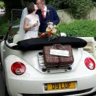 Business 22 image LEICESTER WEDDING CARS Wedding Services in Leicester Forest East Le